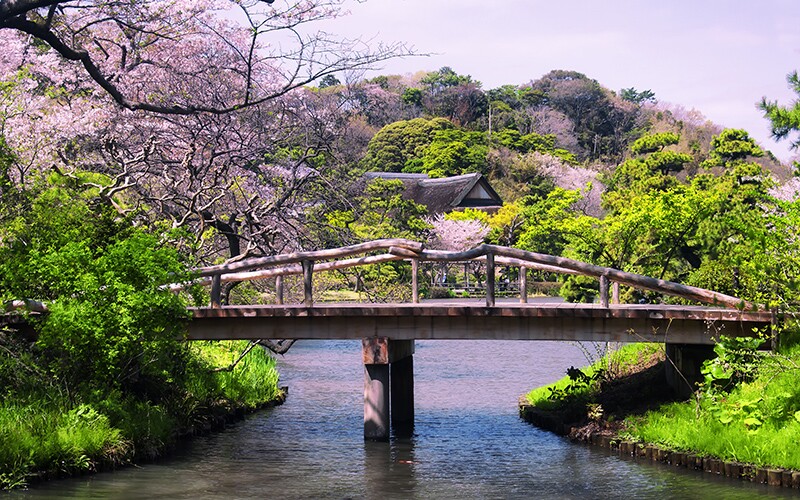 三溪園內的一座橋。