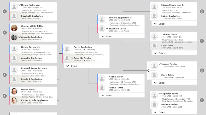 poziomy widok drzewa genealogicznego.