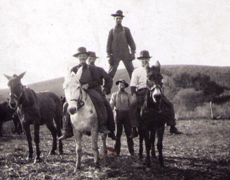 Men standing on horses in the United States in 1870