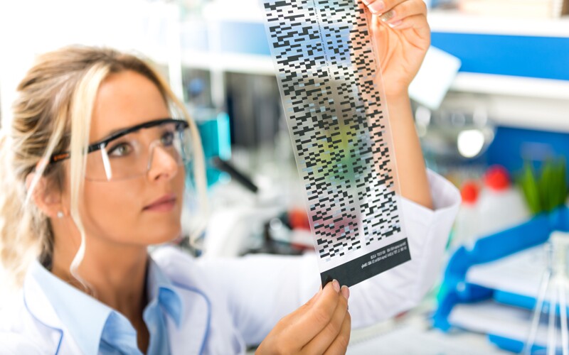 woman studies dna and centimorgans