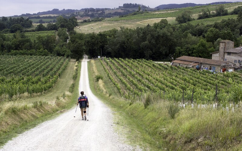 A man walks down a pathway on a pilgrimage