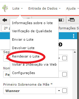 Uma captura de tela do retorno de um lote de indexação