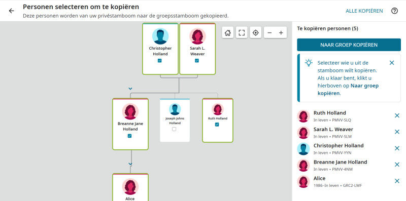 Screenshot van een gebruiker die gegevens van levende personen uit de wereldwijde stamboom naar een familiegroepsstamboom kopieert.