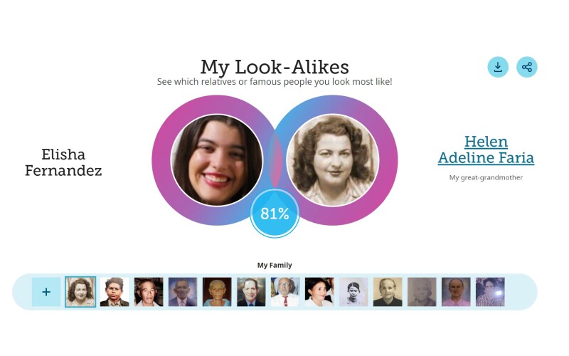 A Look-Alike comparison result for a user