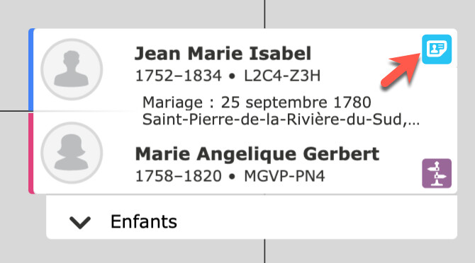 Copie d’écran de suggestions de documents de la rubrique « Arbre Familial ».