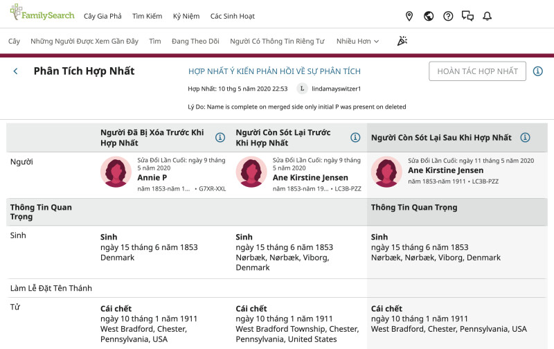 Ảnh chụp màn hình của chế độ xem phân tích hợp nhất trên FamilySearch.org.