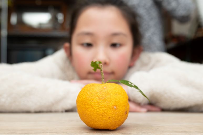 柚子の実を持つ日本人の少女