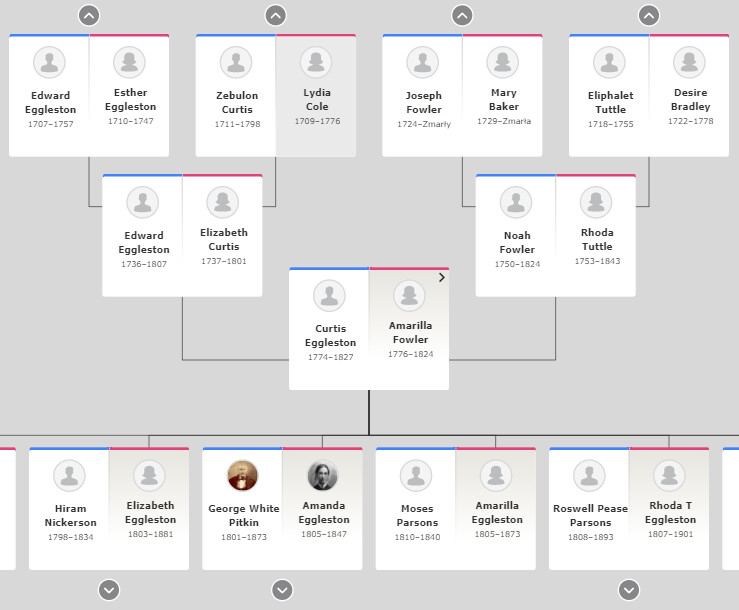 portretowy widok drzewa genealogicznego.