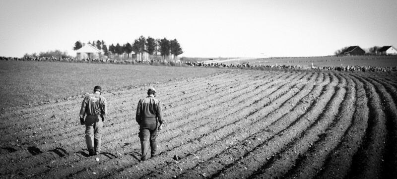 two norwegian men in a field