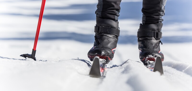 nordic skis in the snow with a red pole