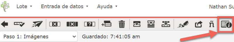 Captura de pantalla de las instrucciones para revisión de indexación
