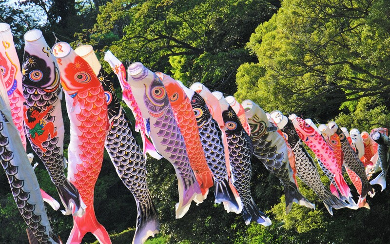 a line of Carp streamers