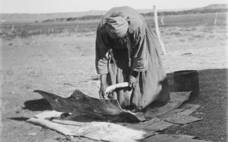 A black-and-white photograph of a woman bending over and using a tool to tan a hide on the ground.