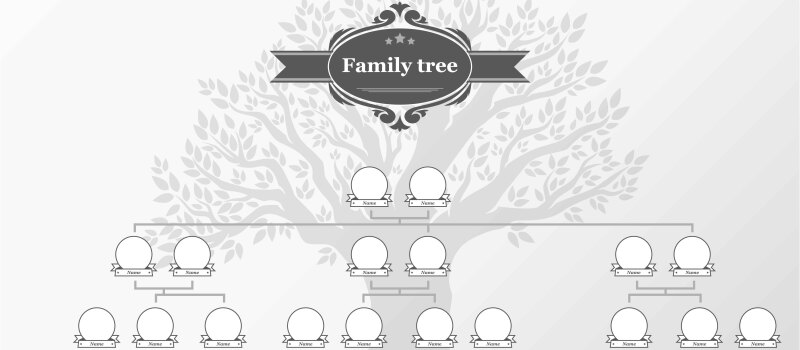 An empty template of a family tree. There are individual blank circles for family members with space to write their names beneath them.