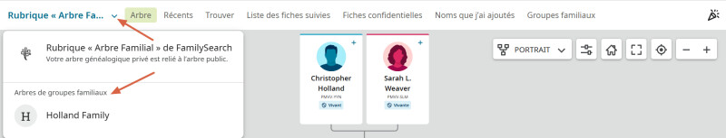 Capture d'écran de la navigation entre l'Arbre Familial mondial et un Arbre Familial de groupe sur FamilySearch.org.