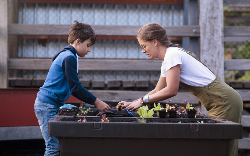 Voluntarios trabajando en un jardín comunitario en Australia.