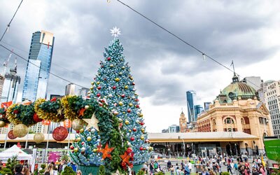 Tradiciones navideñas sin afectar medio ambiente: no al musgo para