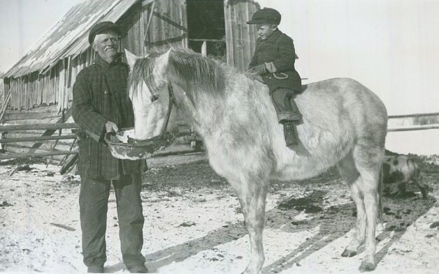 A grandfather feeds a horse while his grandson sits on its back.