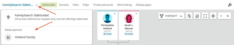Skärmdump av navigation mellan det världsomfattande Släktträdet och ett släktgruppsträd på FamilySearch.org.
