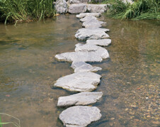 SteppingStoneBlog (1)