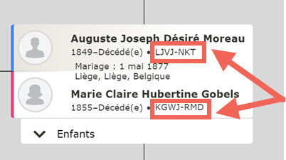 Numéro d’identification d’une personne dans la rubrique « Arbre Familial »