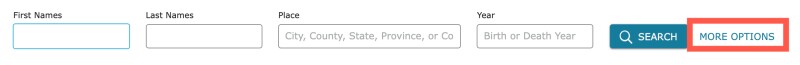 You can access the complete search template by clicking on More Options in the results page.