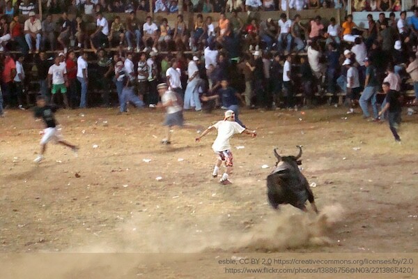 People participate in toros a la tica, a form of bullfighting that is part of Costa Rica culture