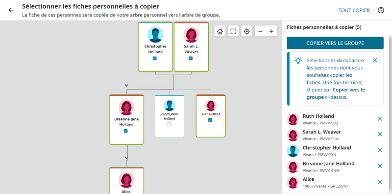 Capture d'écran d'un utilisateur copiant des renseignements sur des personnes vivantes depuis l'Arbre Familial mondial vers un Arbre Familial de groupe.