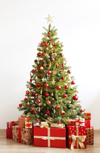 Christmas tree with presents underneath.