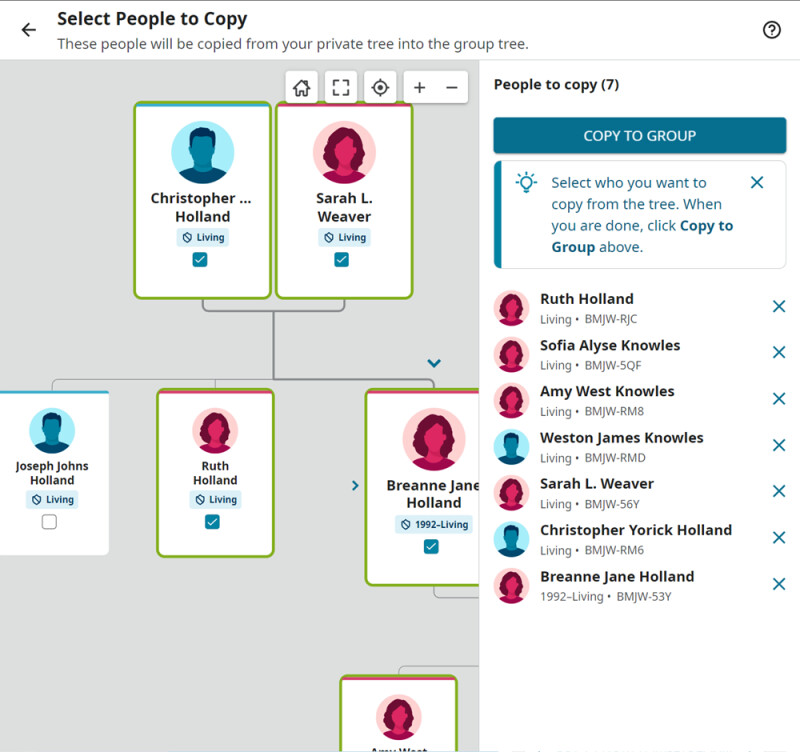 Screenshot of a user copying living people information from the worldwide Family Tree to a Family Group Tree.