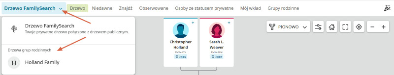 Zrzut ekranu przedstawiający nawigację pomiędzy ogólnoświatowym Drzewem genealogicznym a Drzewem grupy rodzinnej na FamilySearch.org.