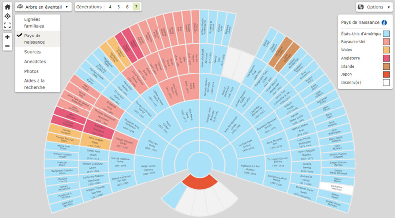 Un graphique et un modèle d'arbre généalogique indiquant le patrimoine d'une personne