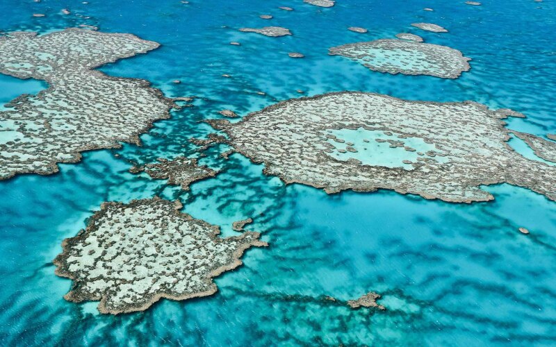 The Great Barrier Reef in Australia.