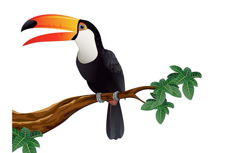 Cartoon toucan sitting on a branch