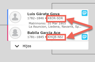 Números de identificación de persona en Árbol Familiar