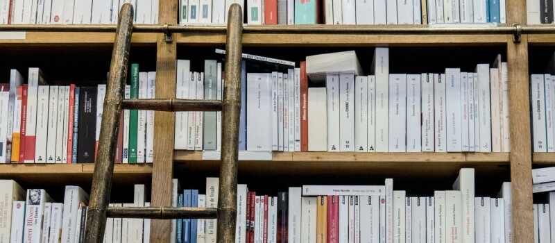 A bookshelf with a ladder propped up against it.