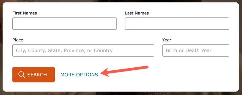 Click on More Options on the main search page to open the complete search template.