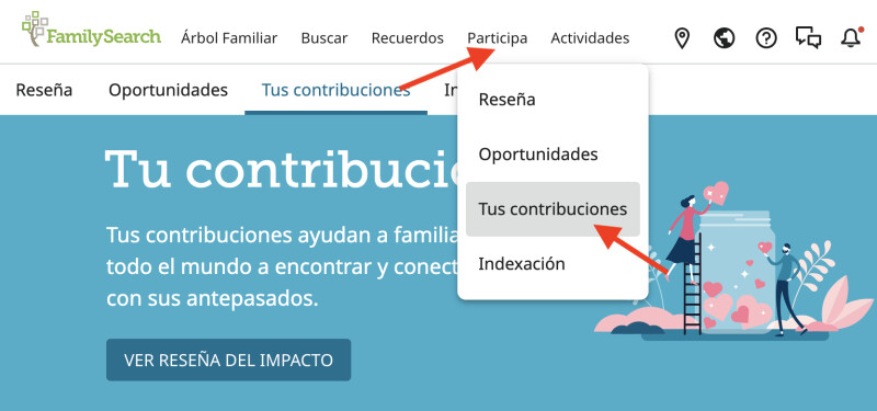 Captura de pantalla que muestra cómo llegar a la nueva página Mis Contribuciones utilizando la navegación principal FamilySearch.org.