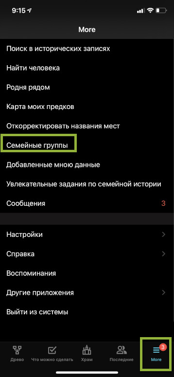 В нижней части экрана iOS нажмите на меню «Больше», чтобы перейти к «Семейным группам».