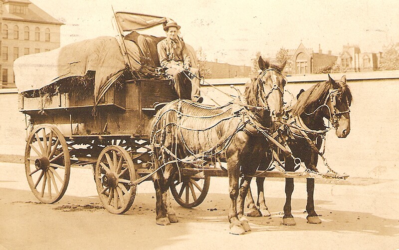 A Norwegian man drives his carriage in a city.
