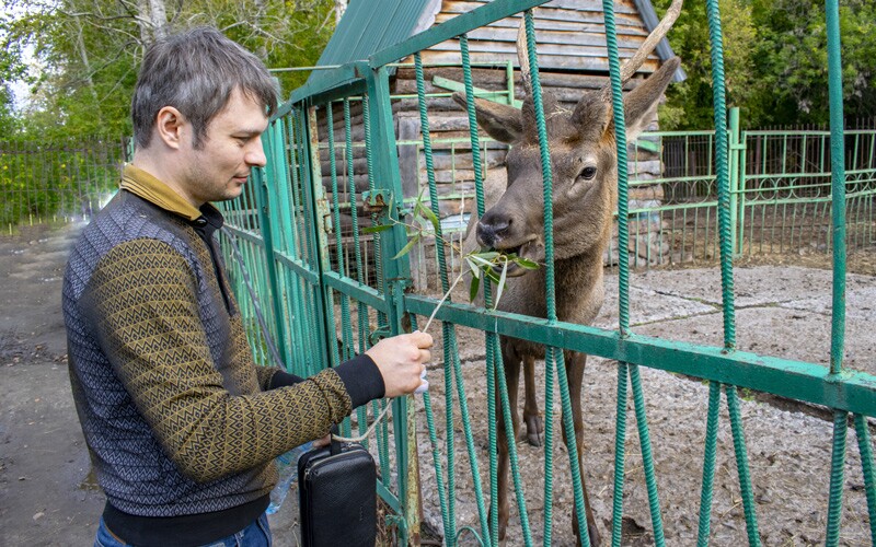 a man feeds a deer 