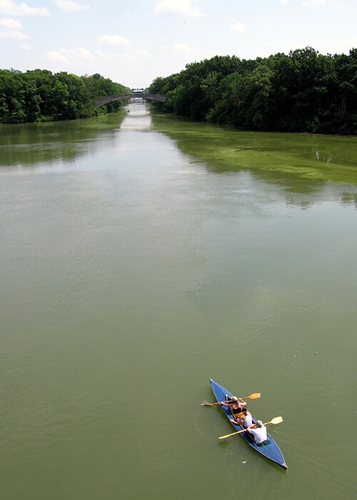 Three people kayaking on the Erie Canal.