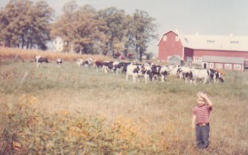 Young Lee on the family dairy and tobacco farm in Edgarton, Wisconsin, where he lived from age 2–6. Typical Wisconsin farm with the white farmhouse shaded by trees, a large red barn, and black and white Holstein cows.