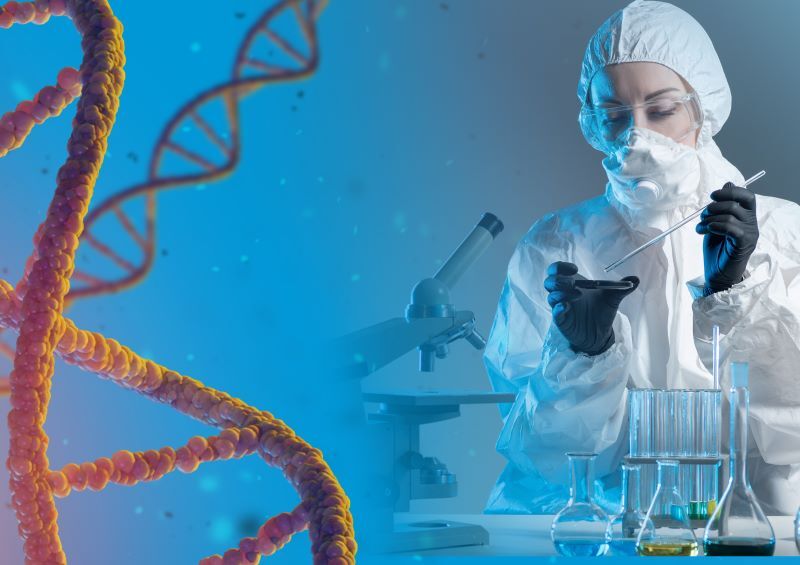 A scientist studies the human genome and DNA.