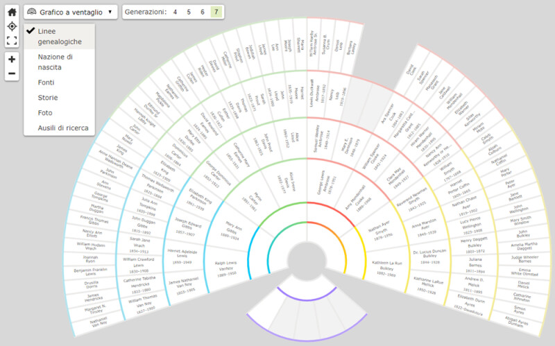 grafico a ventaglio genealogico delle discendenze, un grafico genealogico diffuso. modello di albero familiare