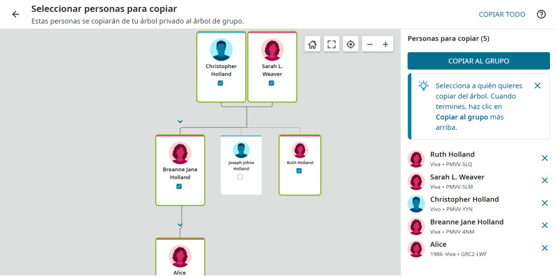 Captura de pantalla de un usuario fotocopiando información sobre personas vivas, del Árbol Genealógico mundial, a un Árbol familiar grupal.