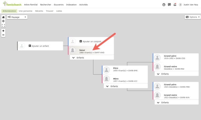 Copie d’écran de l’affichage d’un arbre généalogique sur le site de FamilySearch.