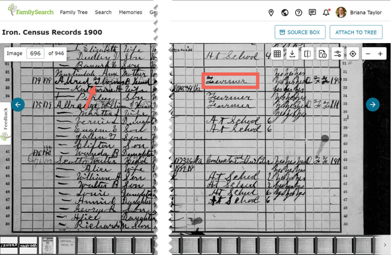 Screenshot of occupation listed in 1900 census.