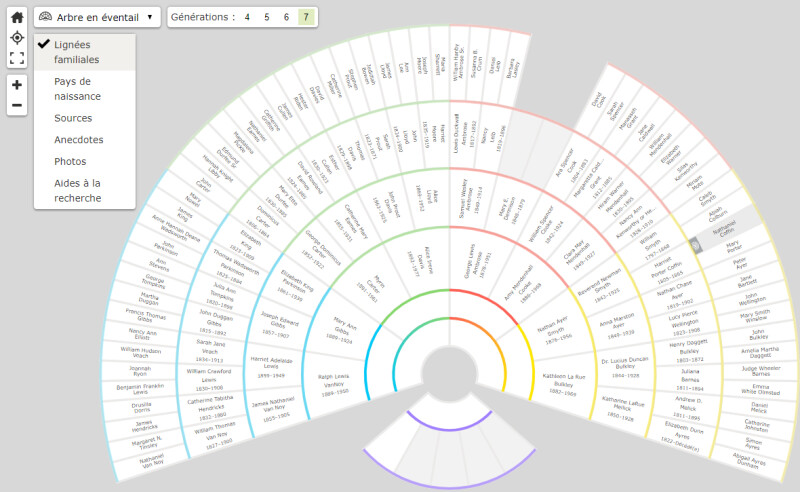 Graphique généalogique des lignées familiales en éventail, un graphique populaire d’arbre familial. modèle d’arbre familial