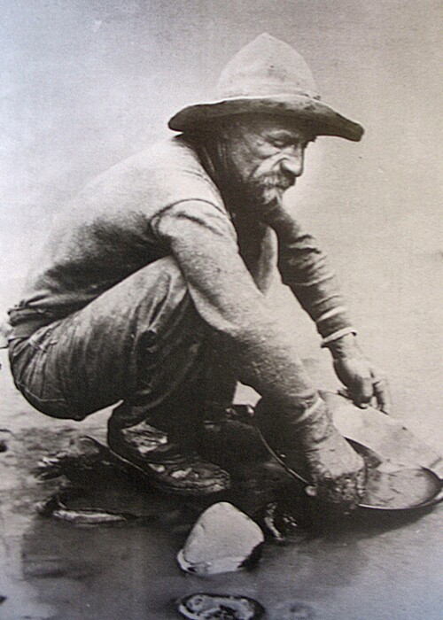 A forty-niner panning for gold in California during the Gold Rush